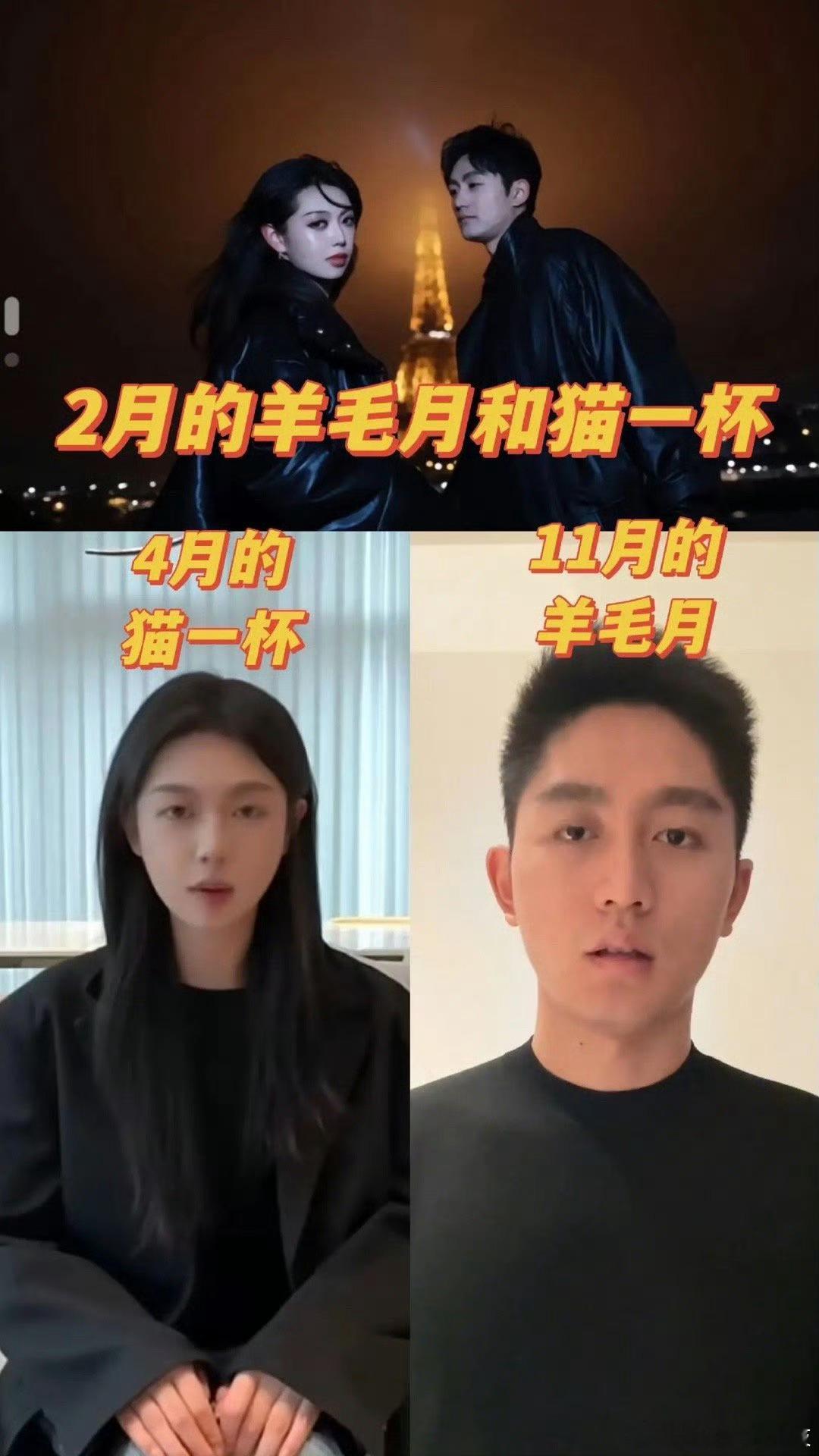 羊毛月和猫一杯疑似情侣 网友发现羊毛月和猫一杯疑似情侣。 