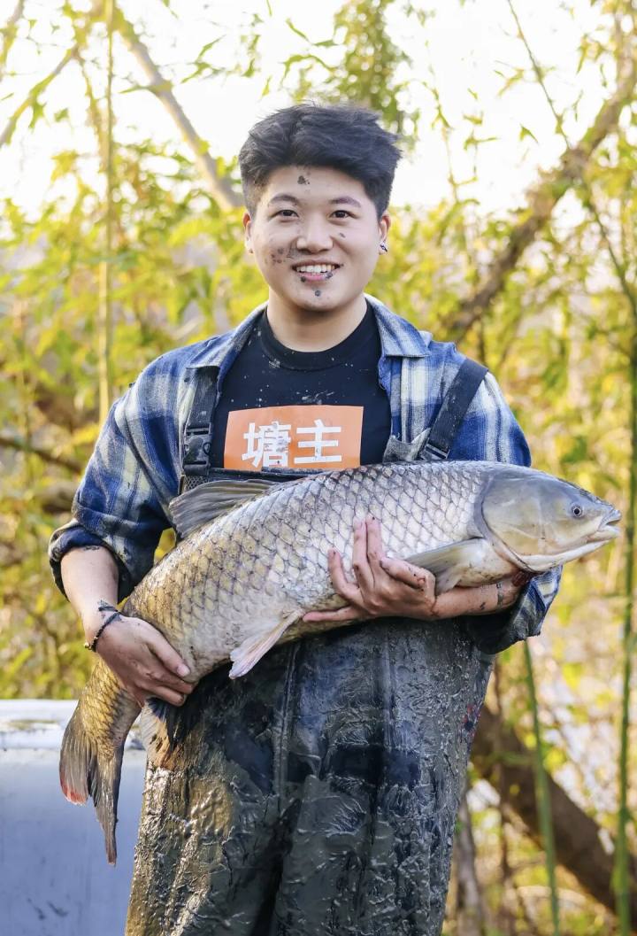 姑娘们全下去了。抽干鱼塘，西溪这里可以吃到清塘鱼宴。