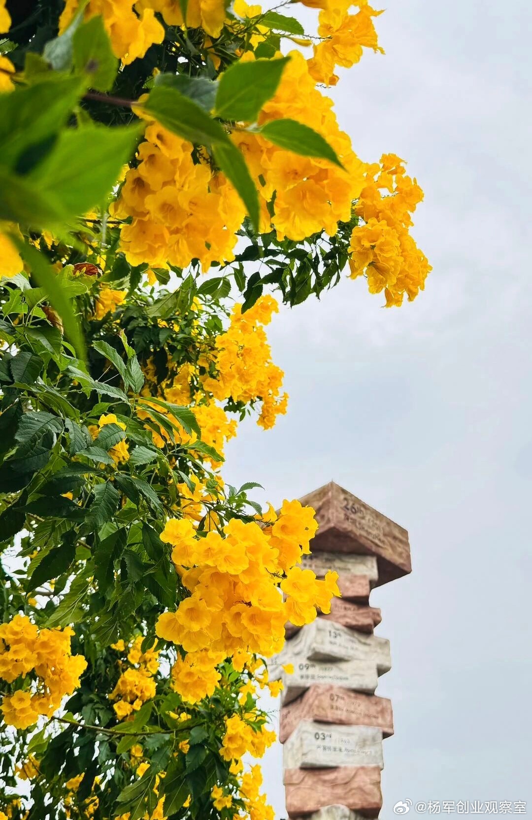 说服别人投钱的核心，不是讲“我的项目多好”而是设计一套让他无法拒绝的“投入-回报