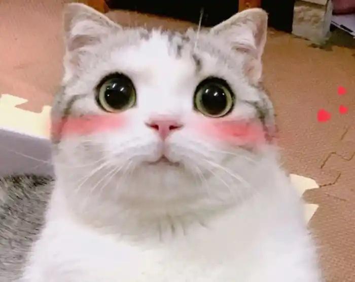 ​​​