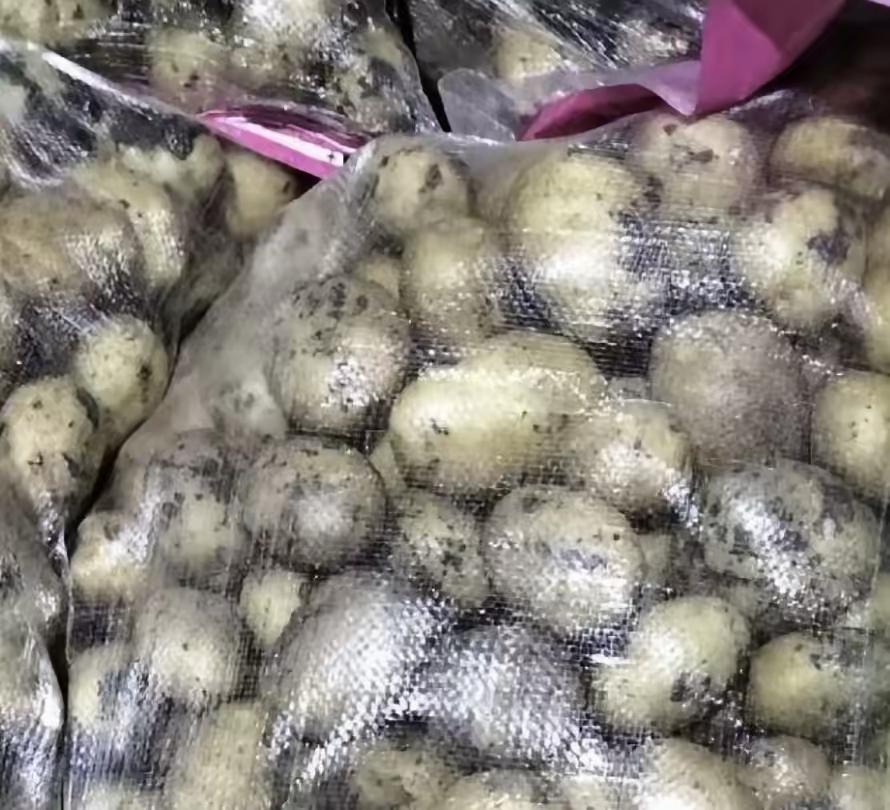 土豆身份争议，收费站犯错，司机遭遇，大家来想。
二月八日夜，陕西收费站，杨师傅拉