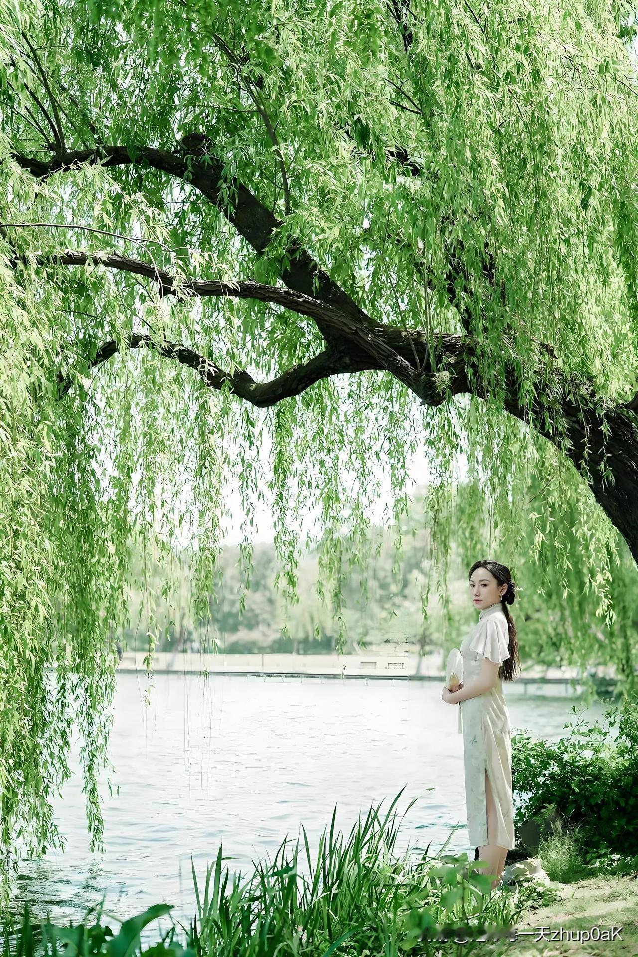 《柳》
——宋·刘敞
弱柳丝丝映酒旗，
暖风晴日正相宜。
长条未许游人折，
留待