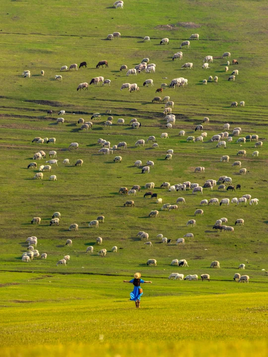 呼伦贝尔🐏我很少用震撼来形容一个地方！