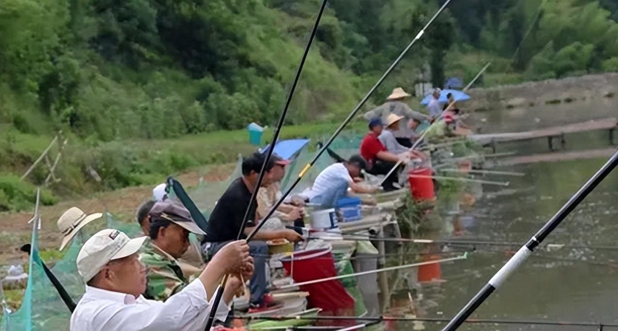 放生惹的祸！珠海钓到“河中凶物”，吞蛙吃鸟，河里如今随处可见
珠海斗门幸福河钓到