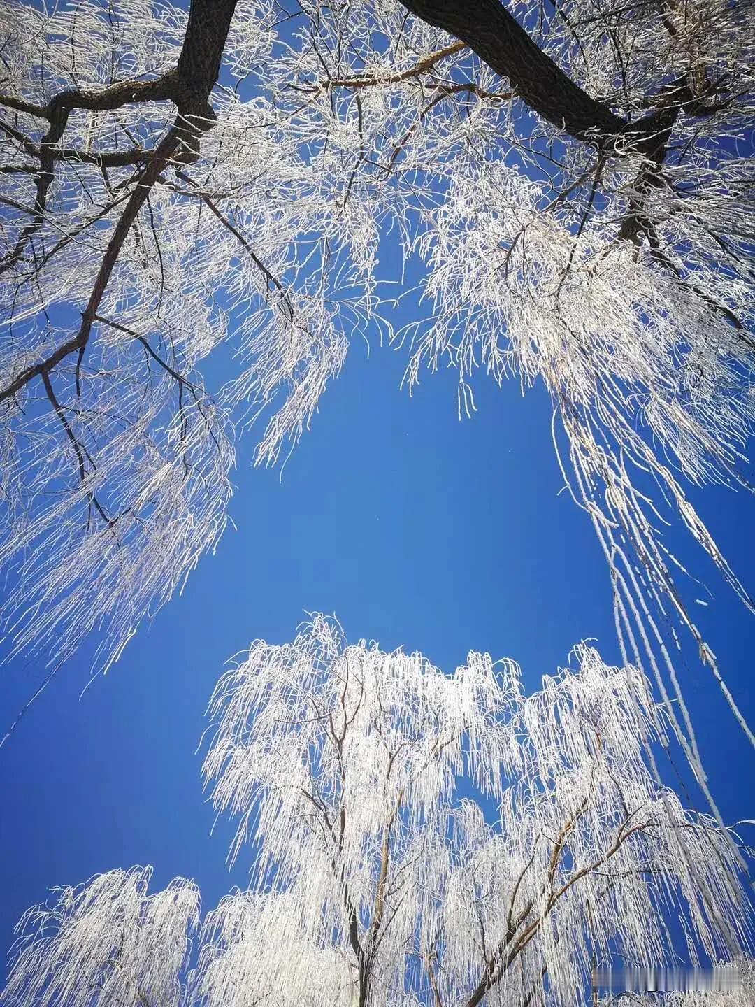 雪花纷纷，银装素裹。时光时时安暖，岁月年年平稳，便是人生圆满！