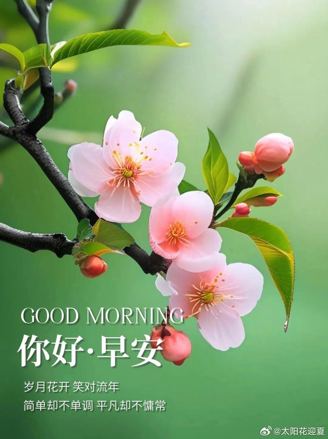 每日一善[超话] 🌸阳光信用🌸每日一善 早啊！晨光温柔点亮新一天，心怀善良的