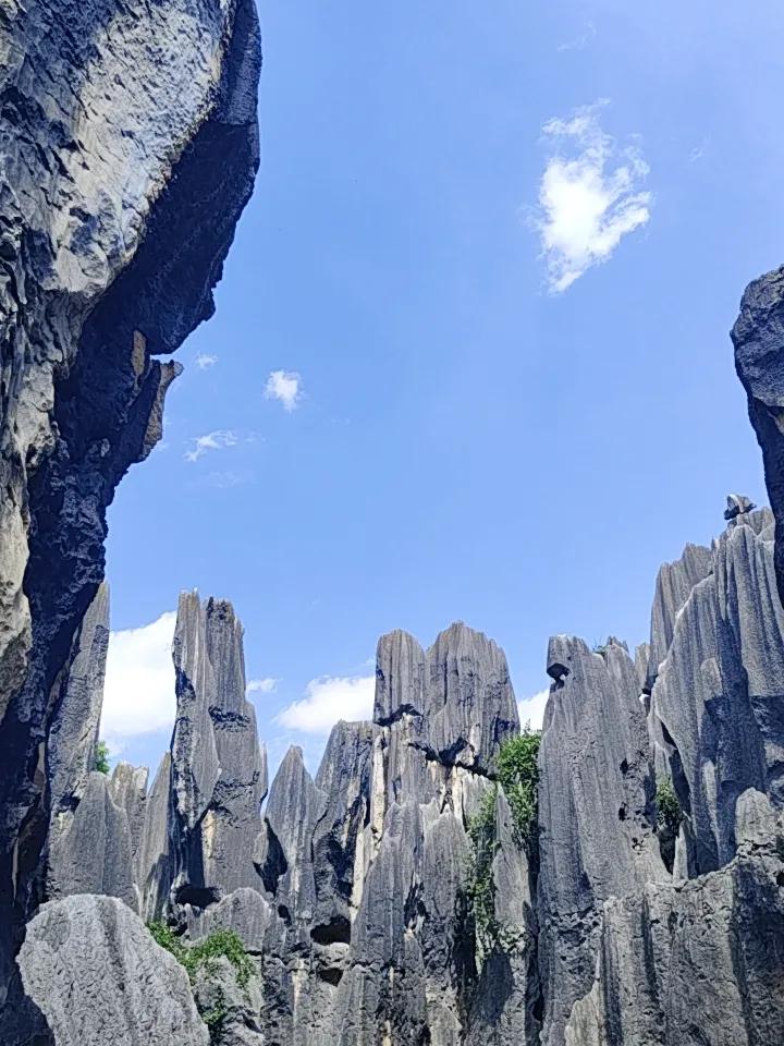 去昆明石林旅游景区一游，那体验绝了！刚进景区，就被眼前奇形怪状的石头震撼到了。像