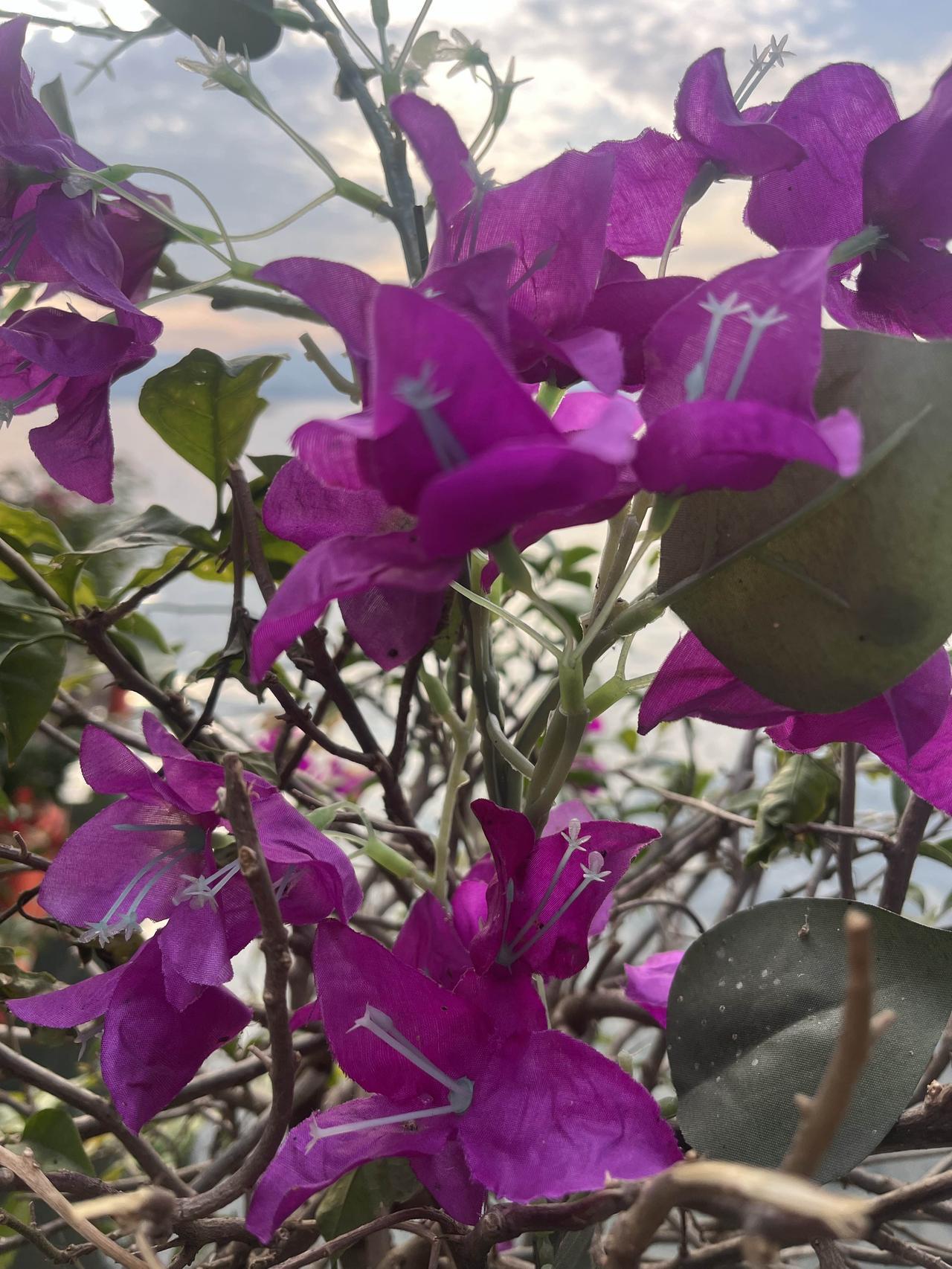 养生不能续命
是要把自己的身体健康重视起来
起到预防作用
往后余生
日子简单过