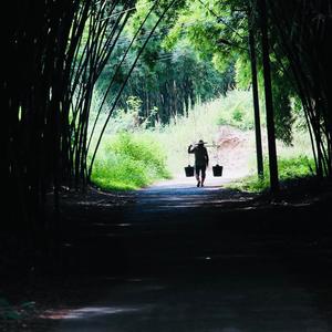 正能量阳光MET