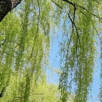 人慢慢走过一程才明白，除了健康的身体，其余大多只是锦上添花，实在没什么值得炫耀。