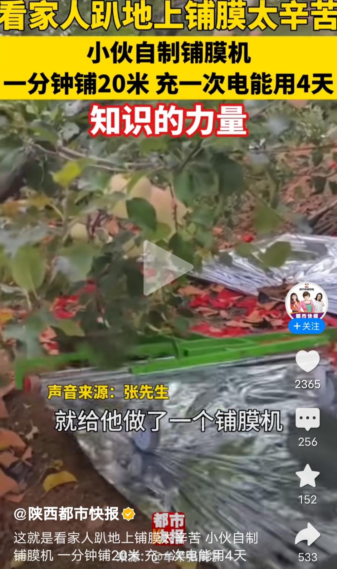 不想父亲钻树下太辛苦，90后小伙自制果树铺膜神器，一分钟能铺20米。

刚看到一