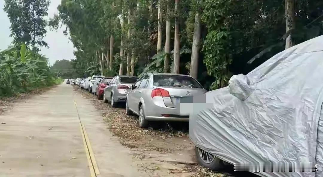 这就是中国人的面子，深圳的一年“两箱油大军”，已经归位，封车了，准备五一，十一，