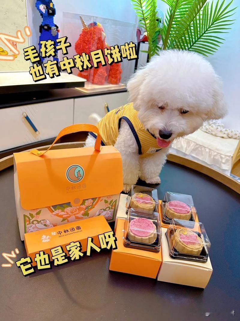 中秋节的奇葩月饼能有多离谱！！

我算是发现了，现在的月饼研发是真的不管“死活”