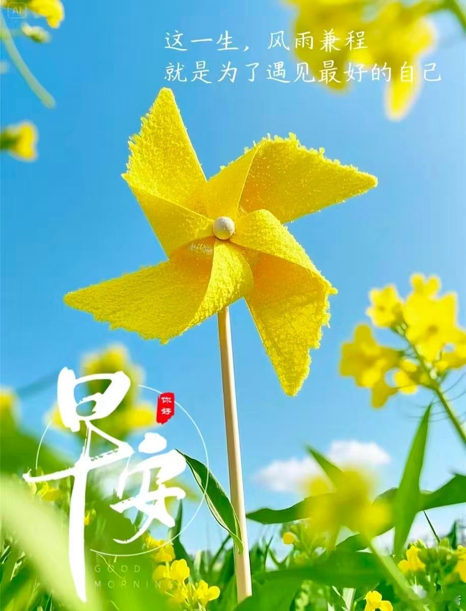 ☀早呀~风很温柔，花很安静，你很值得。放下内耗，轻装出发，愿一整天舒心无忧💛 