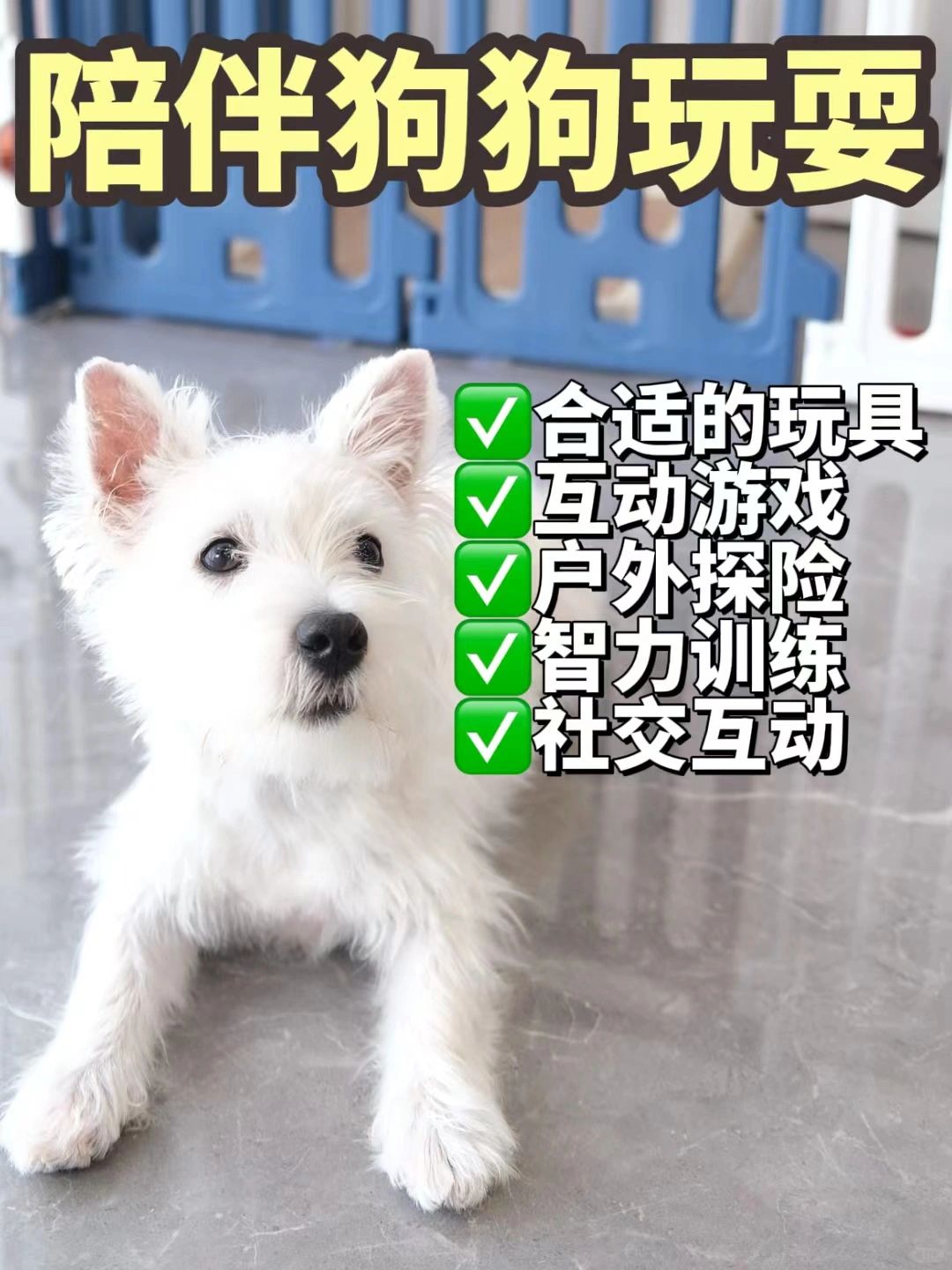 🐶 