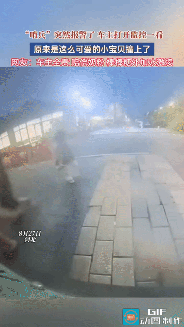 “这碰瓷全网支持！”河北，男子的车停在路边停车位上，突然车上的“哨兵”响了，男子