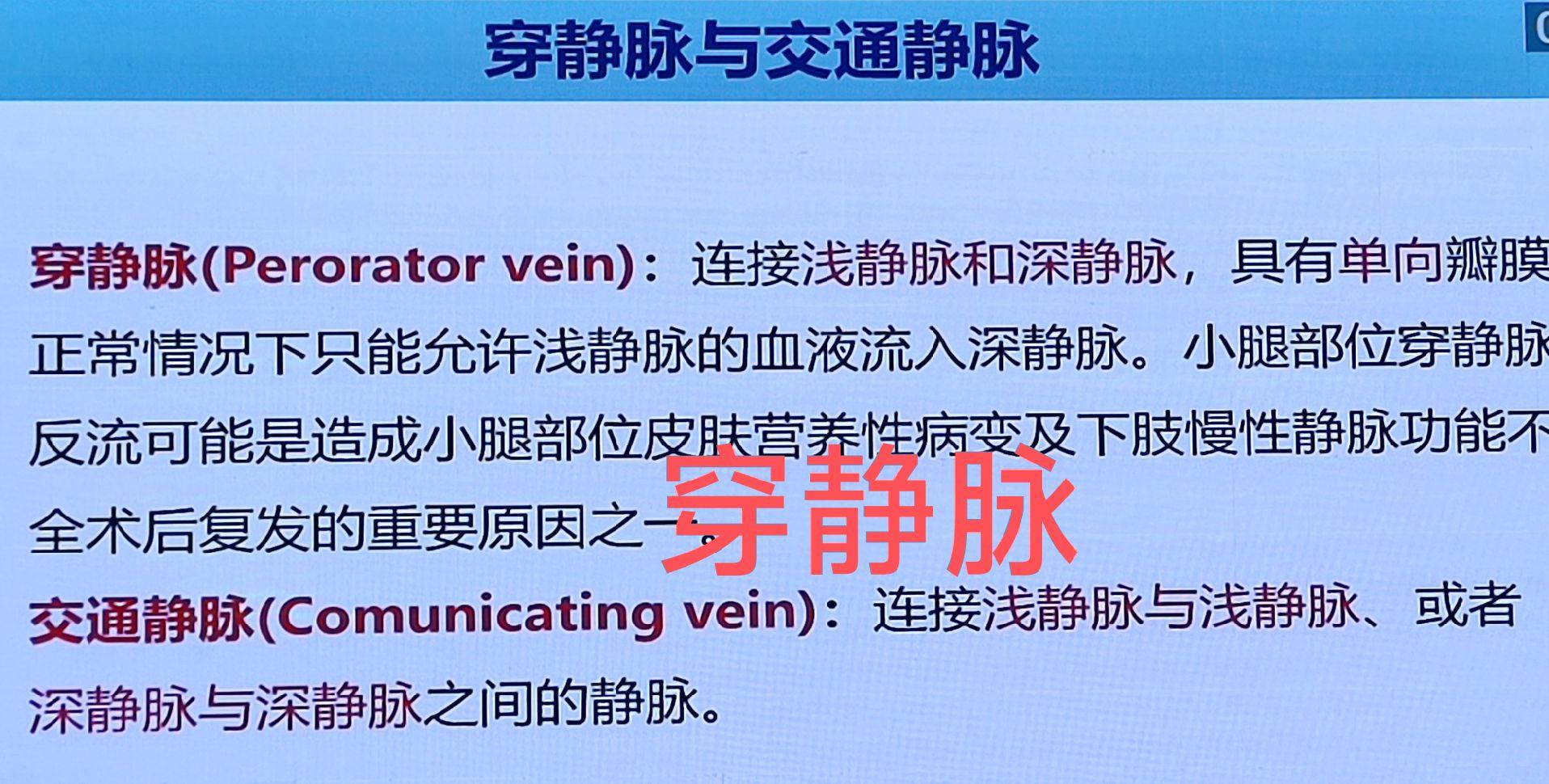 穿静脉与交通静脉超声。但愿人长久，千里共婵娟