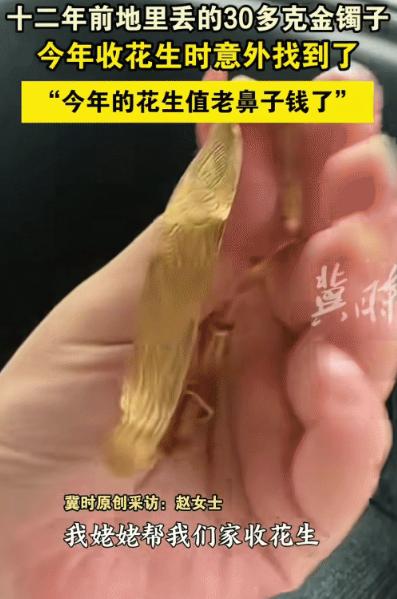 “今年花生太值钱了。”河北一女子在地里收花生时，竟然发现了一个金镯子，本以为是假