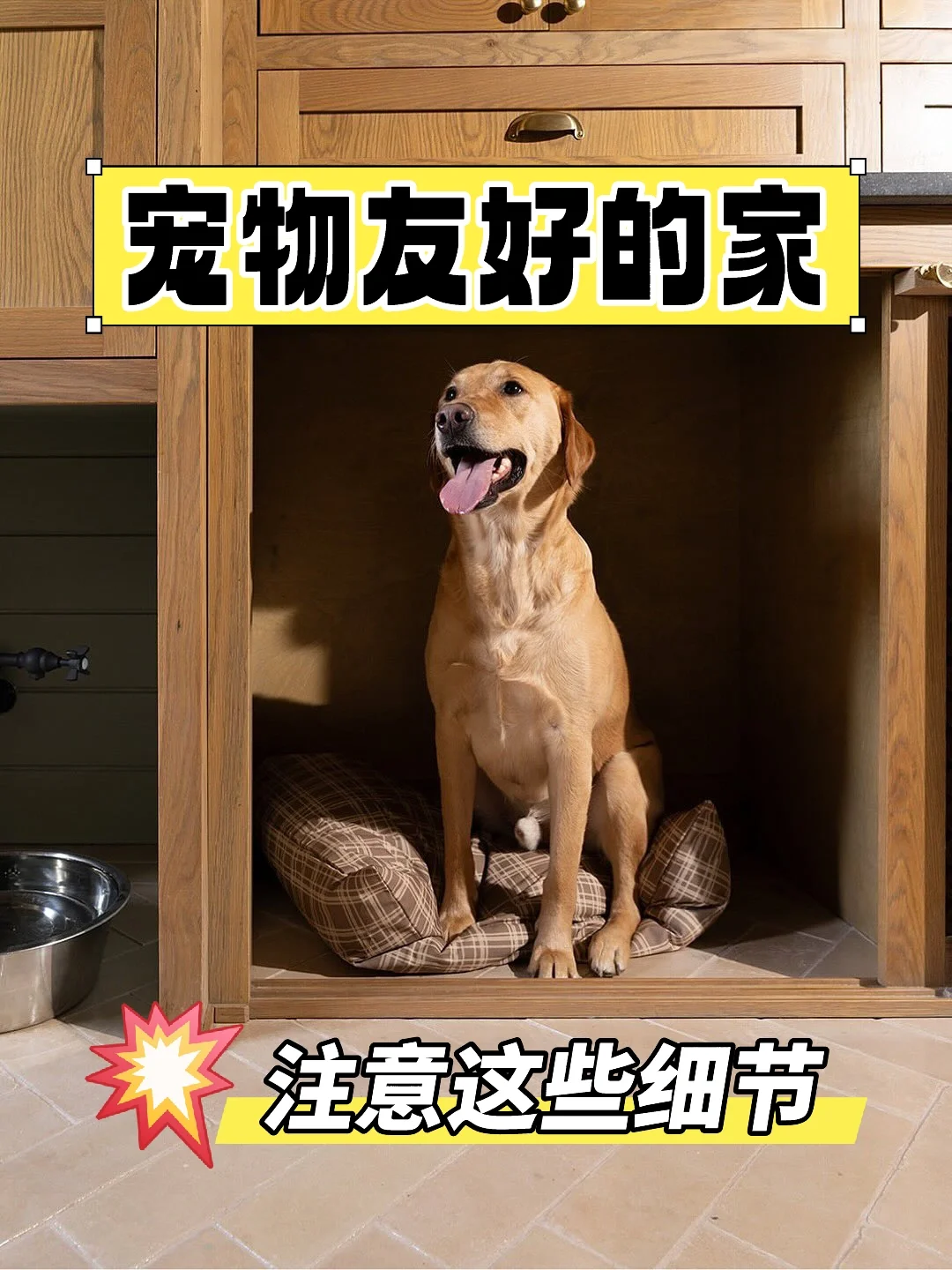 别墅装修｜宠物房
