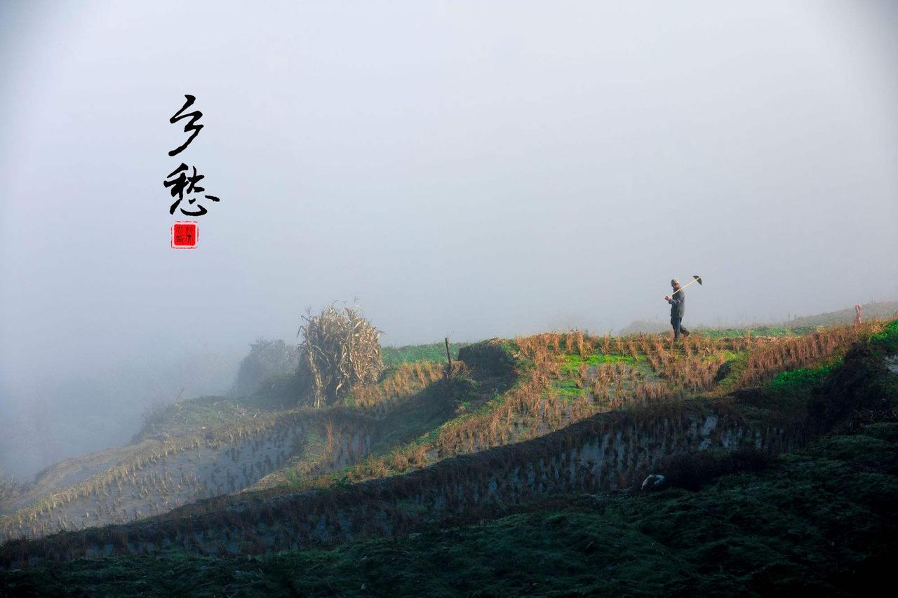 乡愁
    乡愁是什么呢？
我一直不太理解。因为我觉得愁就是愁，还能是什么呢？