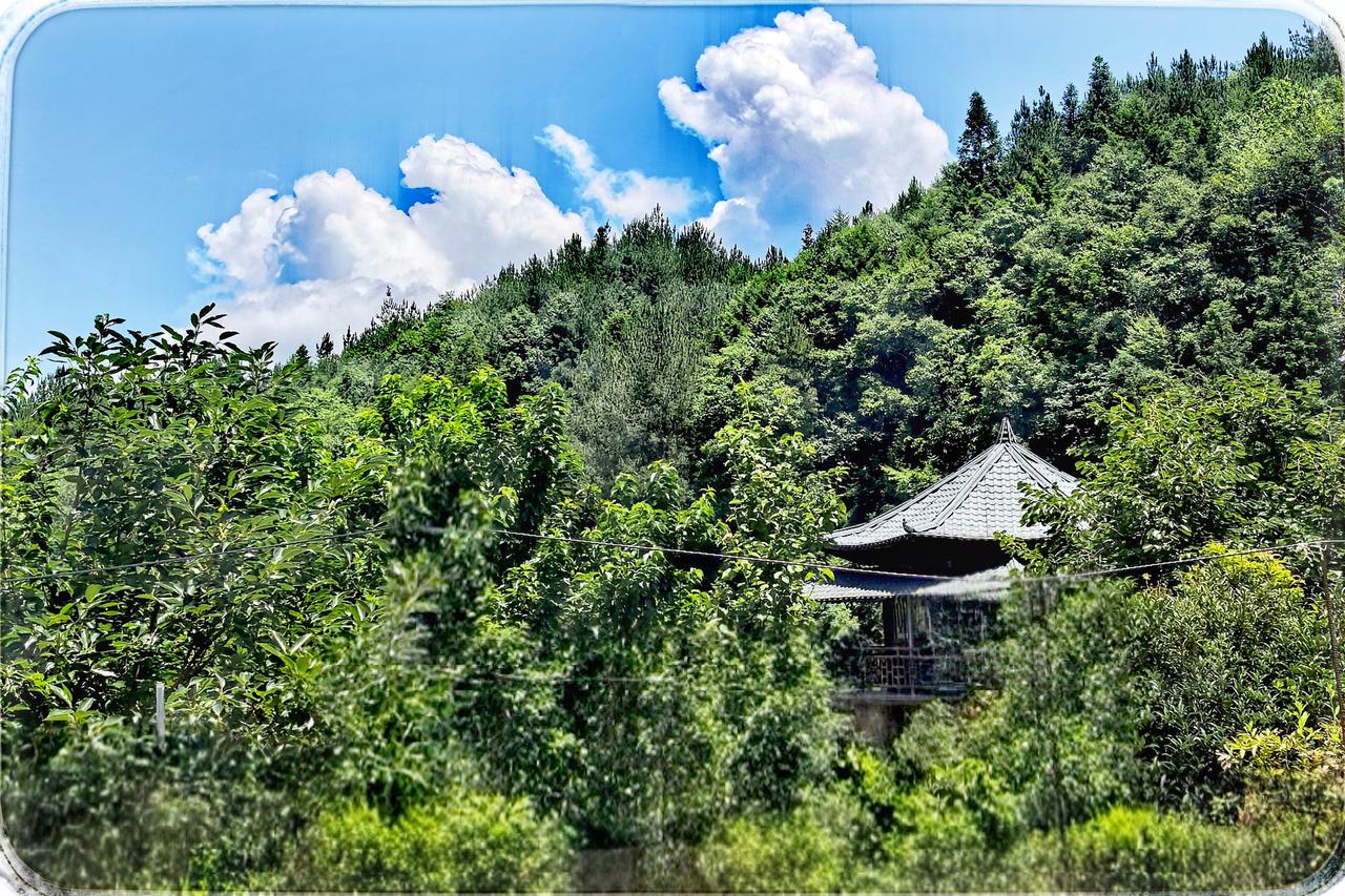再临罗汉石生态康养园
又一次，踏入罗汉石的绿野仙乡，似倦鸟归林，寻得宁静的港。虽