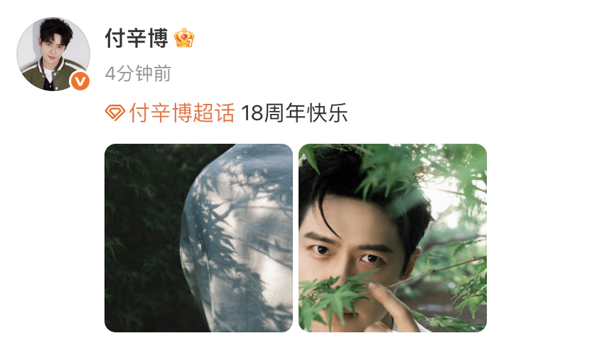 付辛博出道18周年大片 出道18周年啦！竹影斑驳大片预告图，18周年是新的旅程的