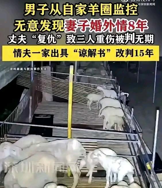 羊圈监控揪出8年婚外情，丈夫复仇致三人重伤：一时冲动，毁了两个家庭
 
    