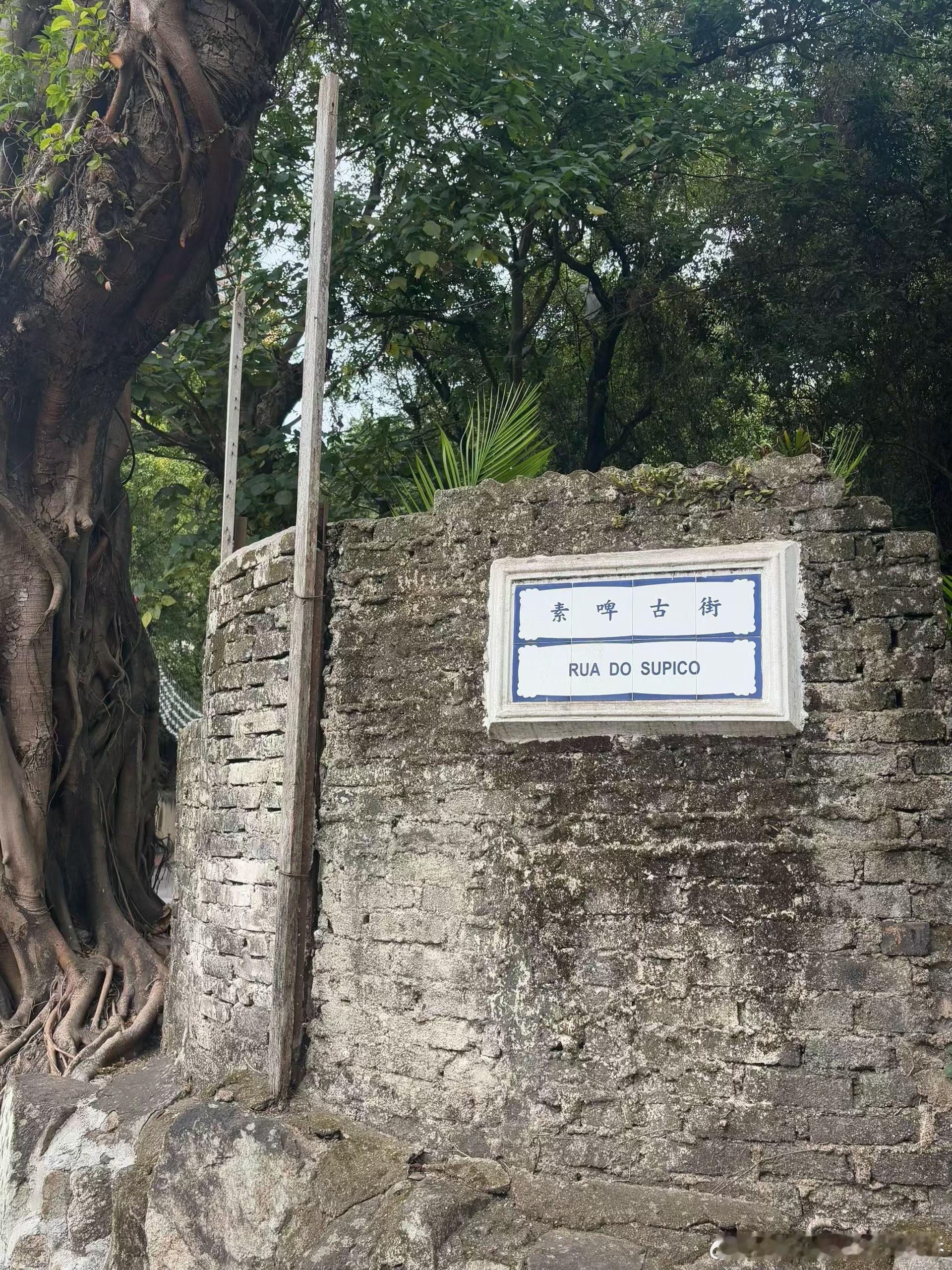 生活手记爱从不是尝辄止的试探，而是毫无保留的奔赴与交付。真心待一人，便会甘愿倾尽