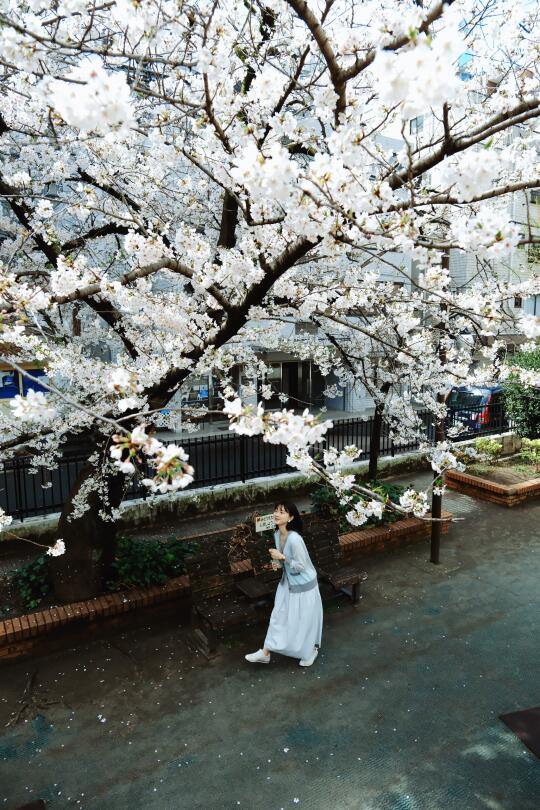 🌸东京游玩日记｜超好吃好逛攻略版