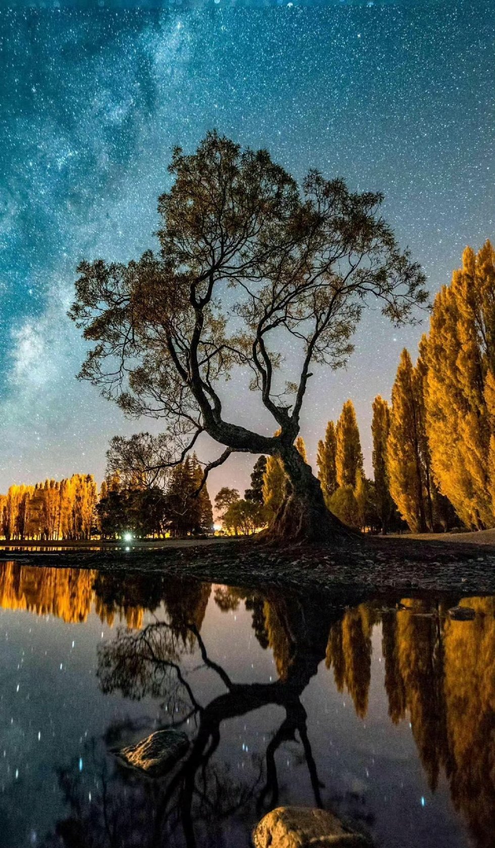 世界上最没用的三种教育方式，就是发脾气、讲道理和自我感动。——卢梭