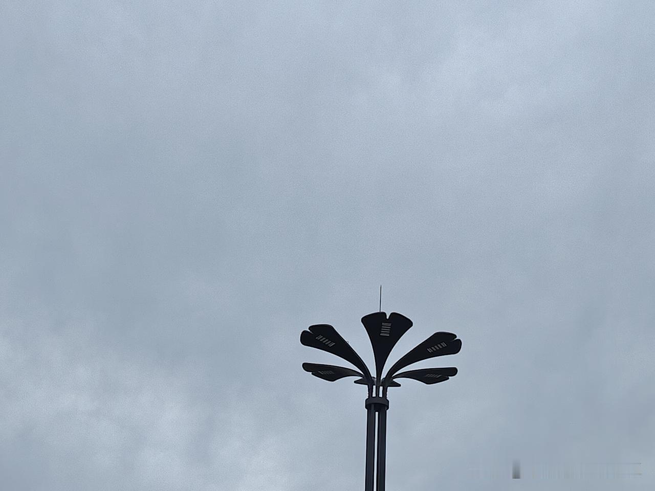 又是崭新的一天
一天好心情