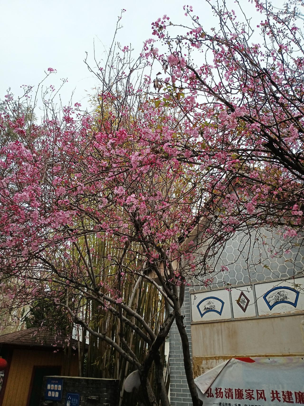 周四盘后，行业突传重磅利好消息，周五大A能否实现向上突破呢？
周四盘后行业利好消