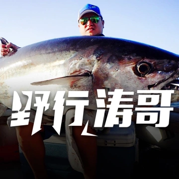 吖野行的涛哥