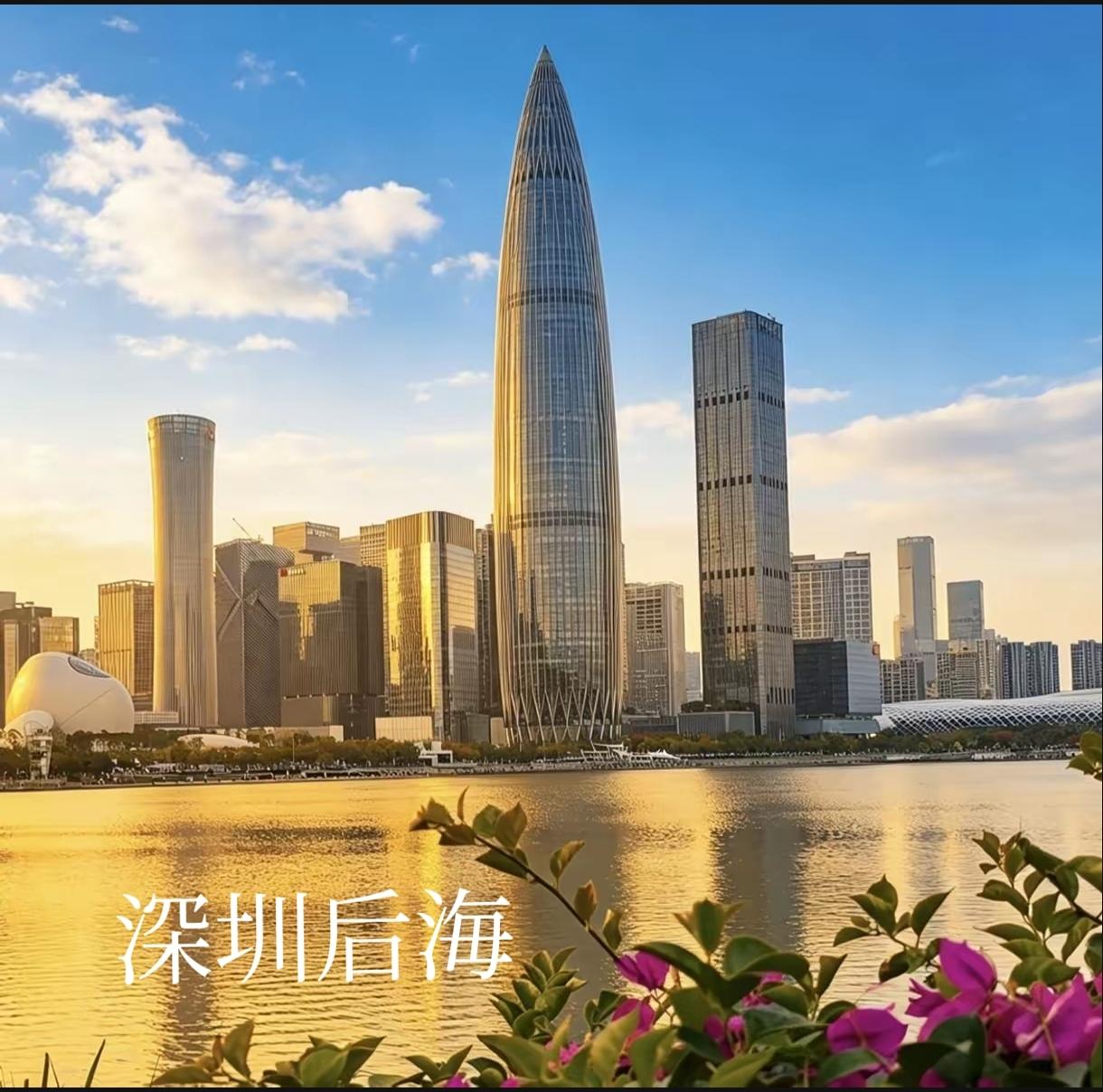 深圳市有432家公司在A股上市（注册地口径，截至8月21日），其中24家公司市值