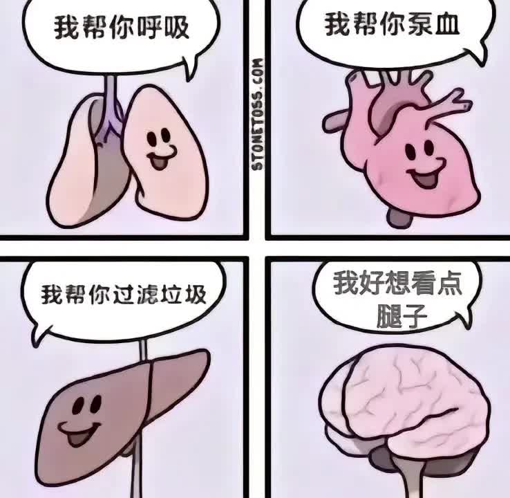 很难不支持 博主