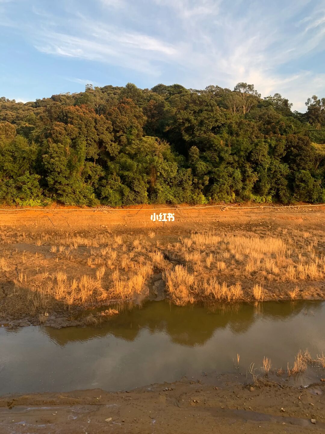 惊喜吗🌀白云山黄婆洞水库变成这样了｜爬山