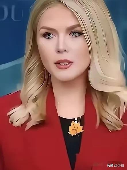 美国白宫宣布
2026年3月31日，美国白宫新闻秘书莱维特宣布了一个重要消息，她