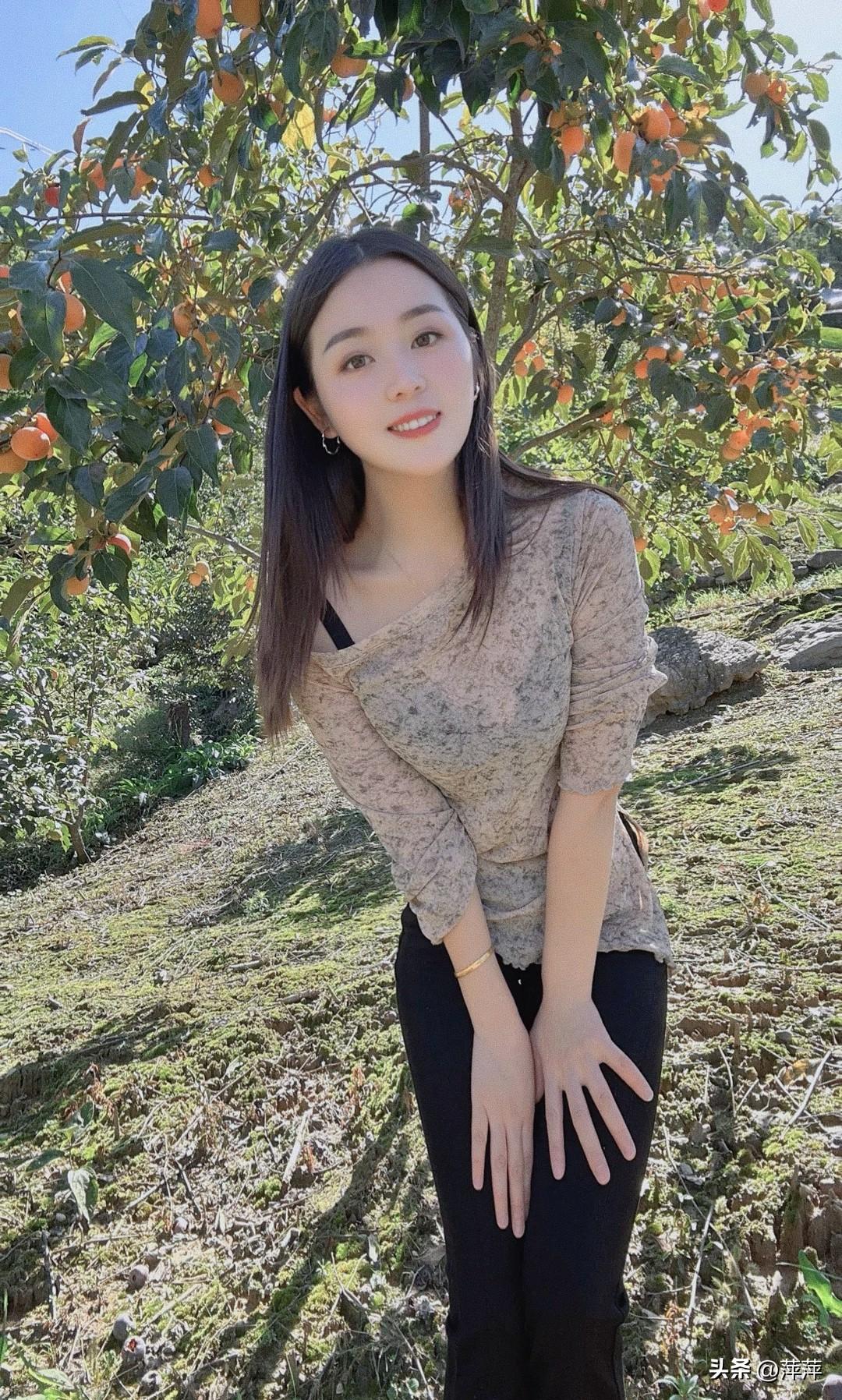 柿子树下等风来