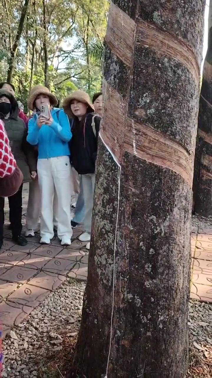 古天乐把美国对你独处有差得咁大，但佢差少少，后来你佢就差得你太多，所以你我都ke