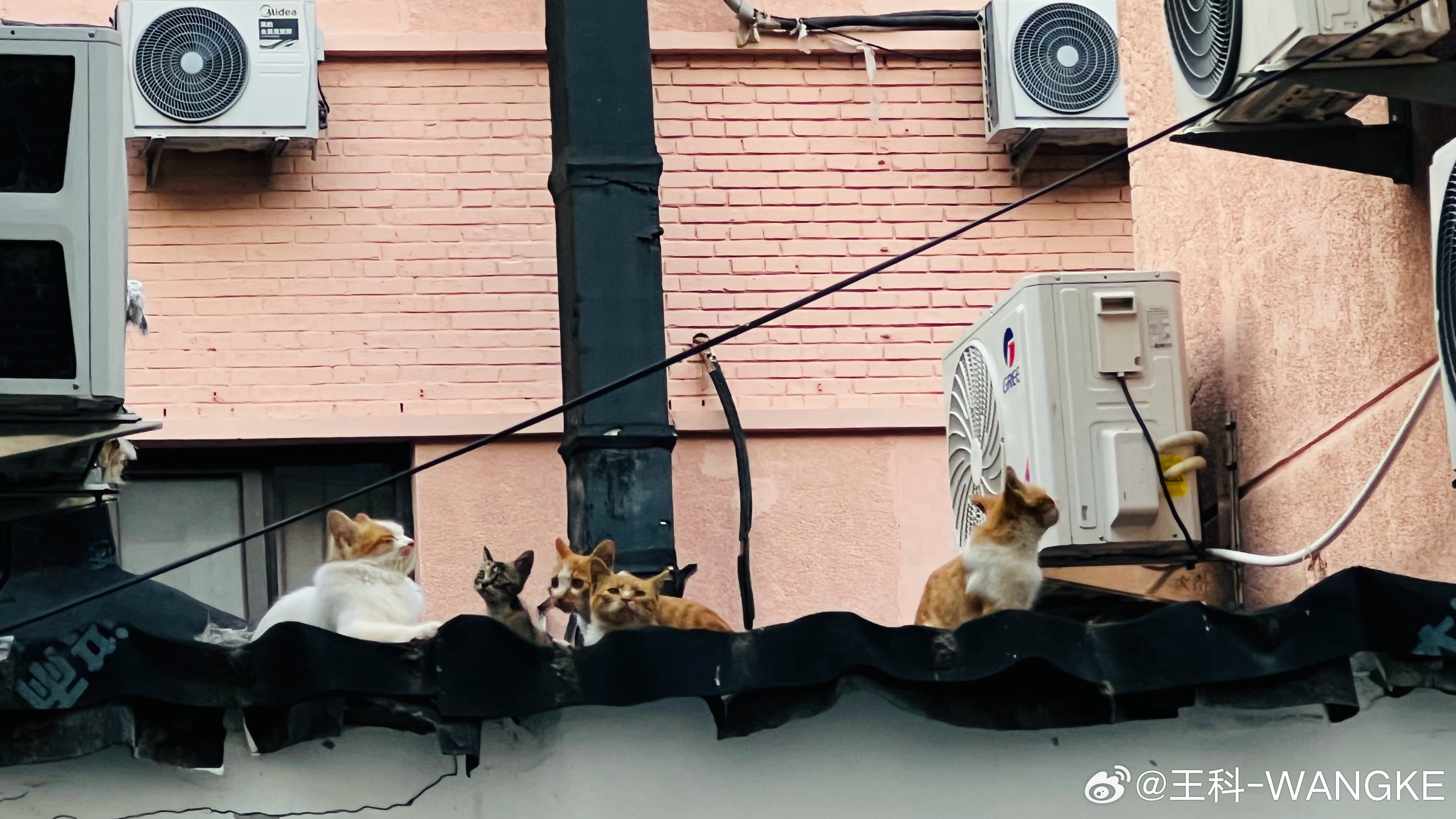 187万就出卖了公司的核心机密！难以置信！面对诱惑与未来就这么分不清楚吗？浮躁的
