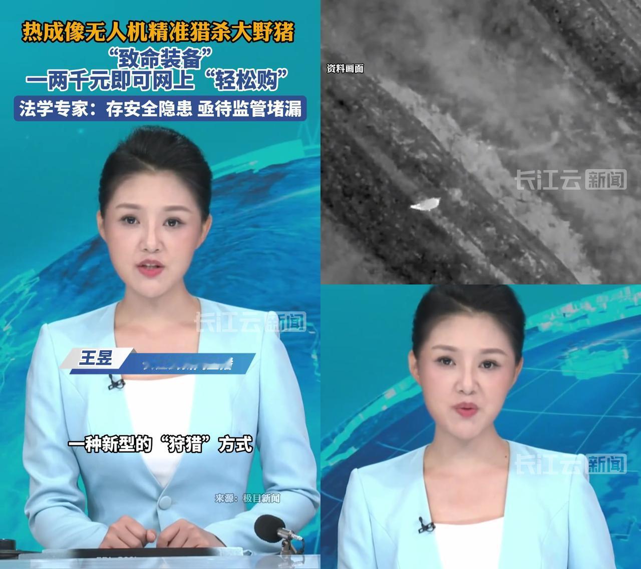 二叔昨天哭着给我打电话，三亩玉米一夜被野猪拱得只剩杆！

村里张姨上个月摘菜