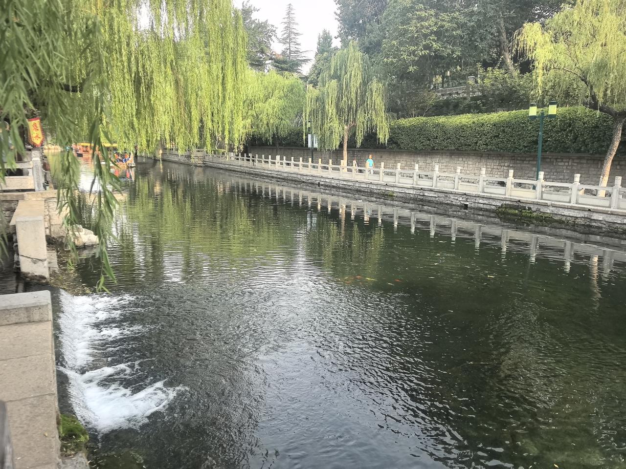 清晨的济南黑虎泉