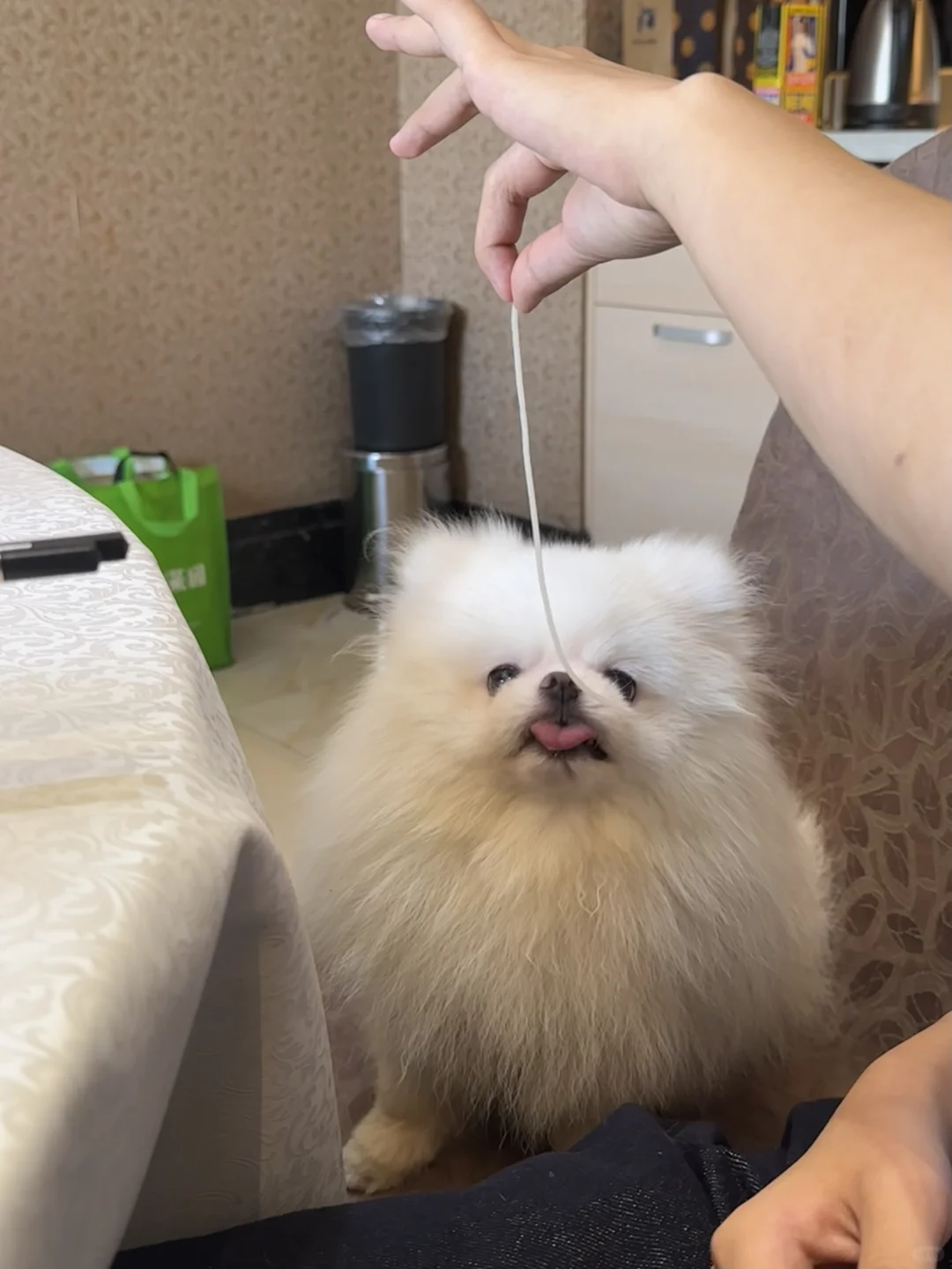 今儿个我过年