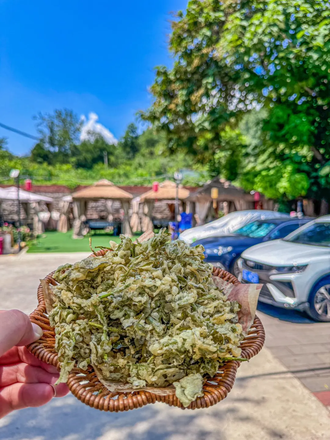 家的味道，目前为止吃到最好吃的农家菜！