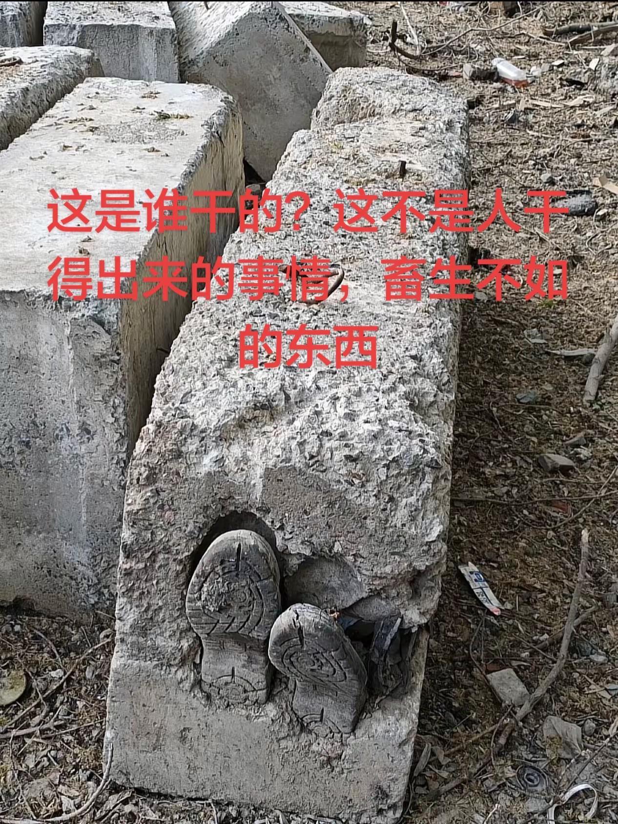 不知道你招惹了什么人