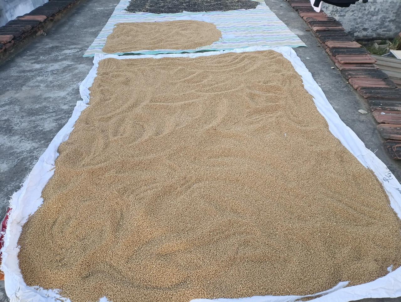 农家乐！
   老家的吃面，大多是把自家种的小麦，先用水淘干净，然后再晒干，再去