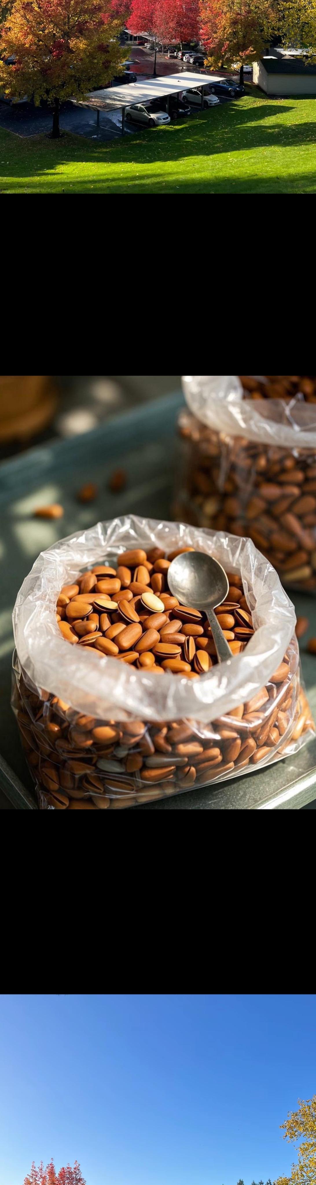 姐妹们~东北开口松子来活动了！过年就吃它了！精心炒制，口味纯正，松香味...