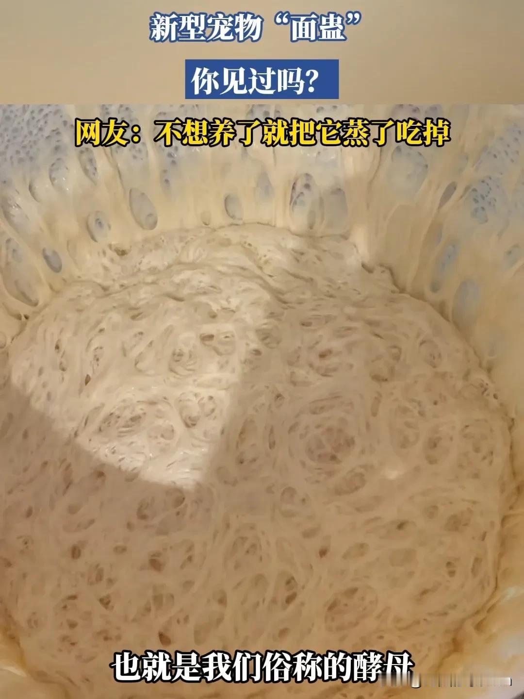 听说现在都流行养这玩意当宠物?[马思纯的微笑]
怎么能养的活，让它活得久呢?