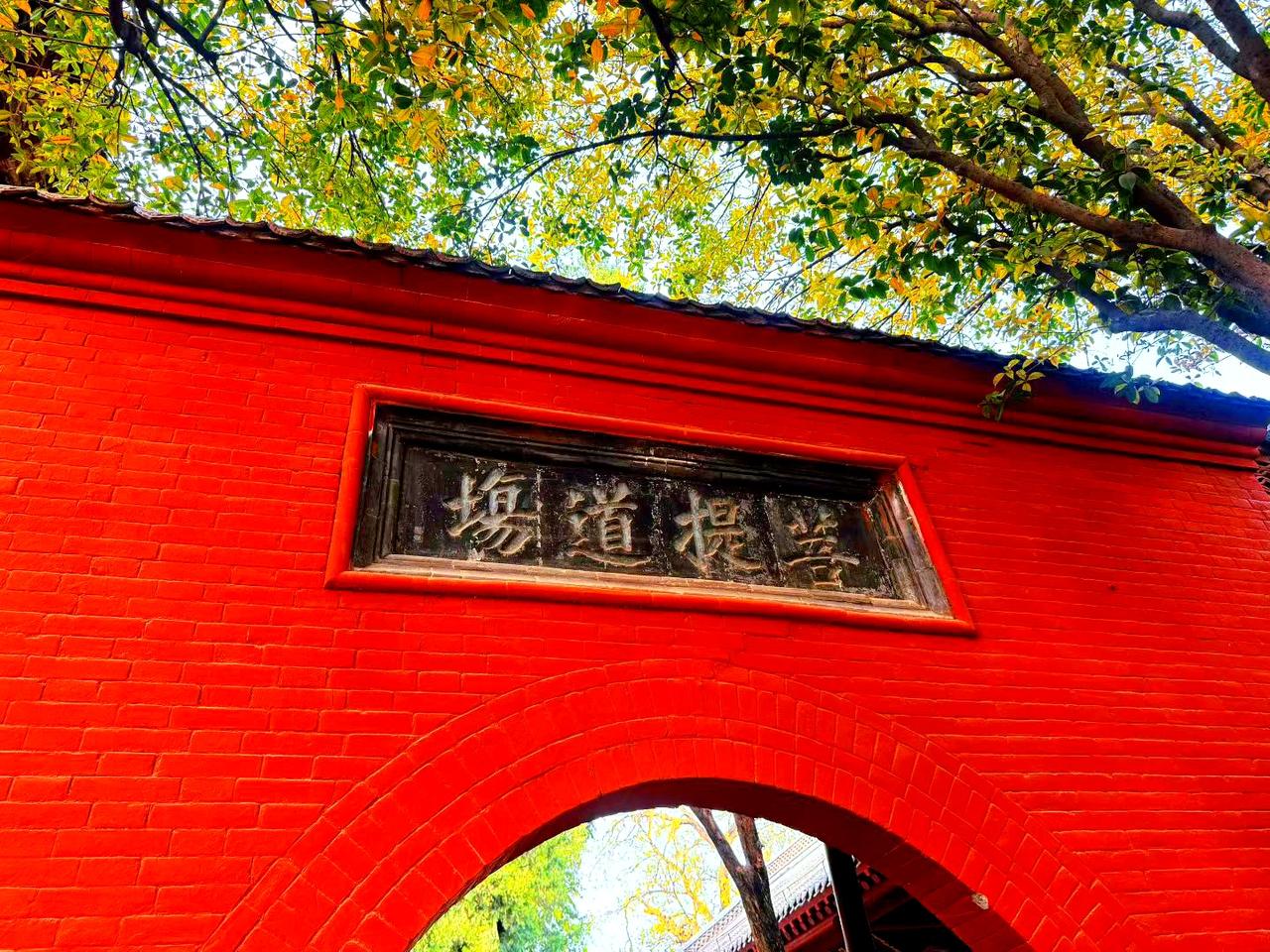 《清平乐·题古寺红墙》
 
朱墙凝赤，檐角吞晴碧。
古匾苔痕深墨色，暗锁菩提消息