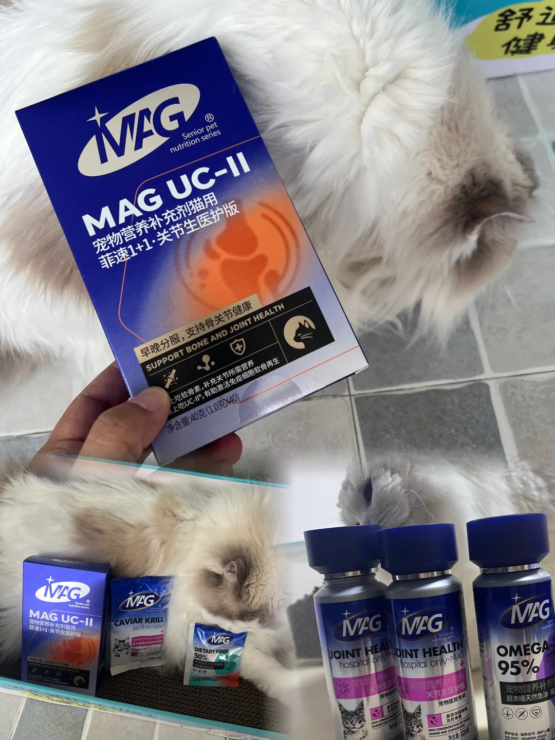 陪伴近7年｜用心守护猫咪心脏与关节🐱